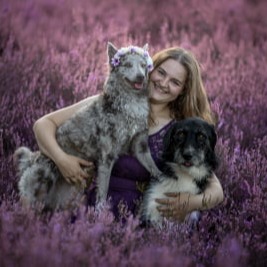 Kundenfoto – Tierfotografie